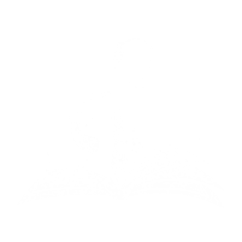 Inkbound Order