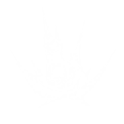 Воля Небес