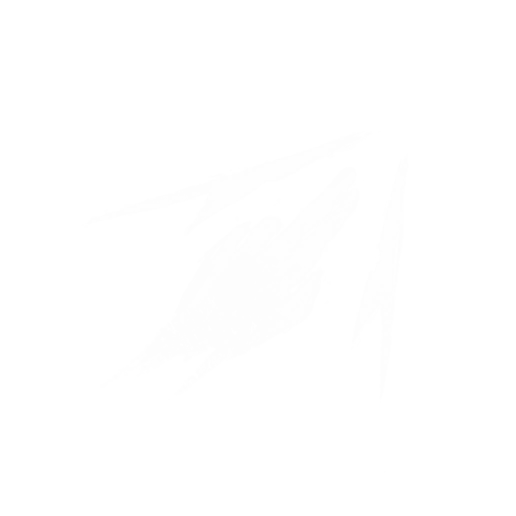 Shadow Assault