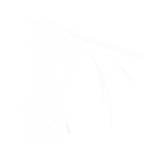 Breaking Point