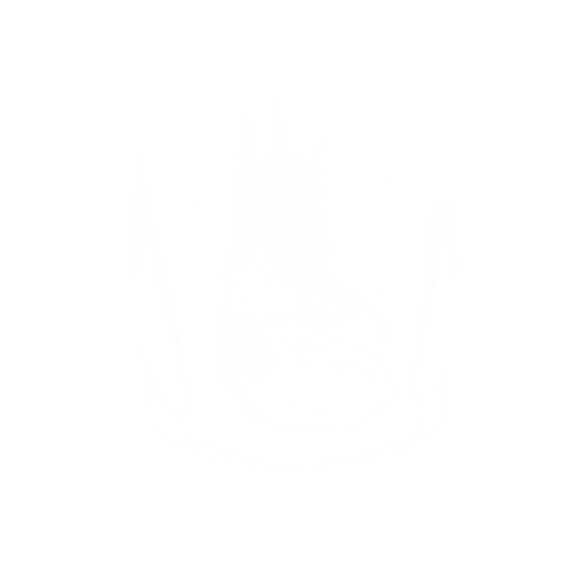 Сумеречная ярость