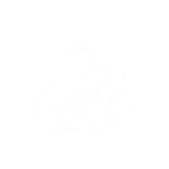 Прыгающая Жаба