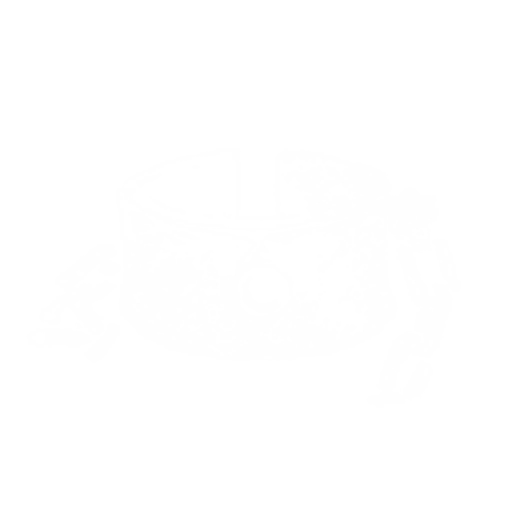 Загнанный зверь