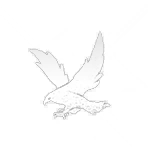 Eaglerise