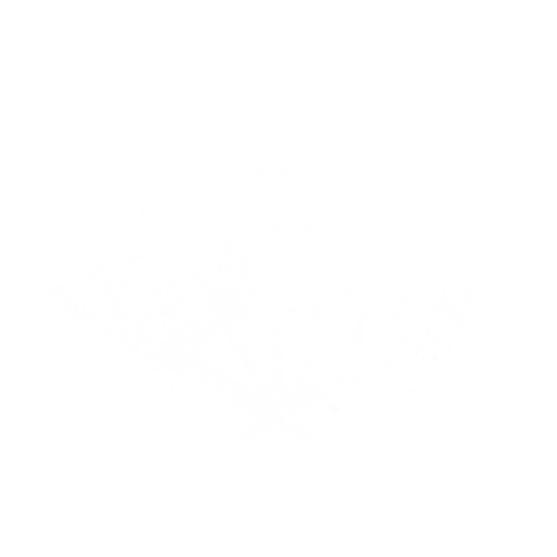 Hollow Vale