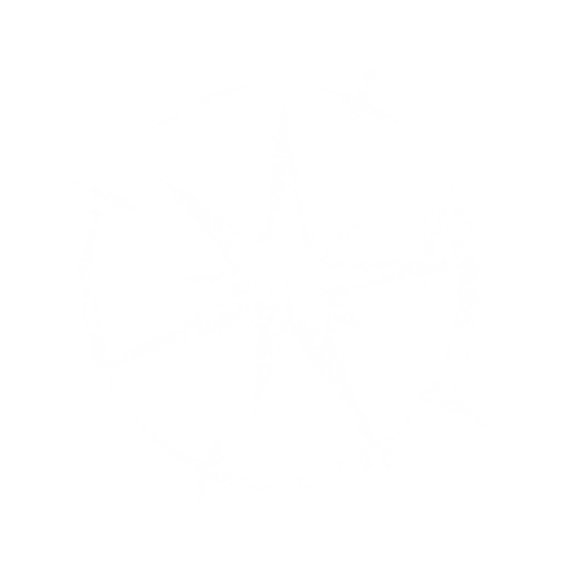 Qi Surge