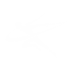 Кровь героя