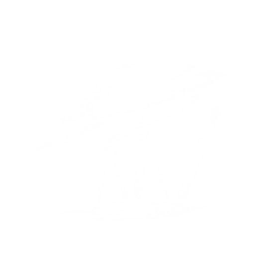Celestial Vigor
