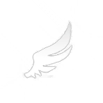 Hawkwing