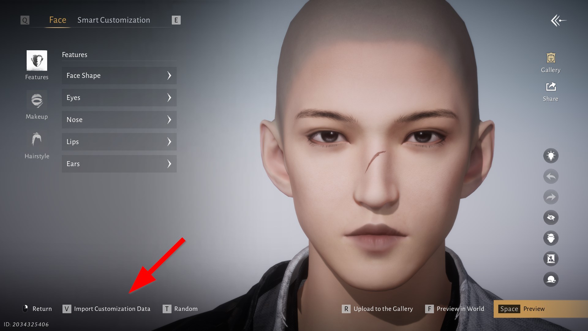 V Import Customization Data button in the Where Winds Meet face editor